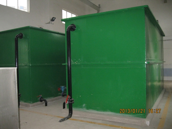 �������ʵ糧